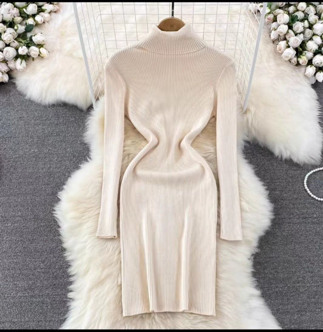 Korean Style Long Sleeve Turtleneck Dress Sweater