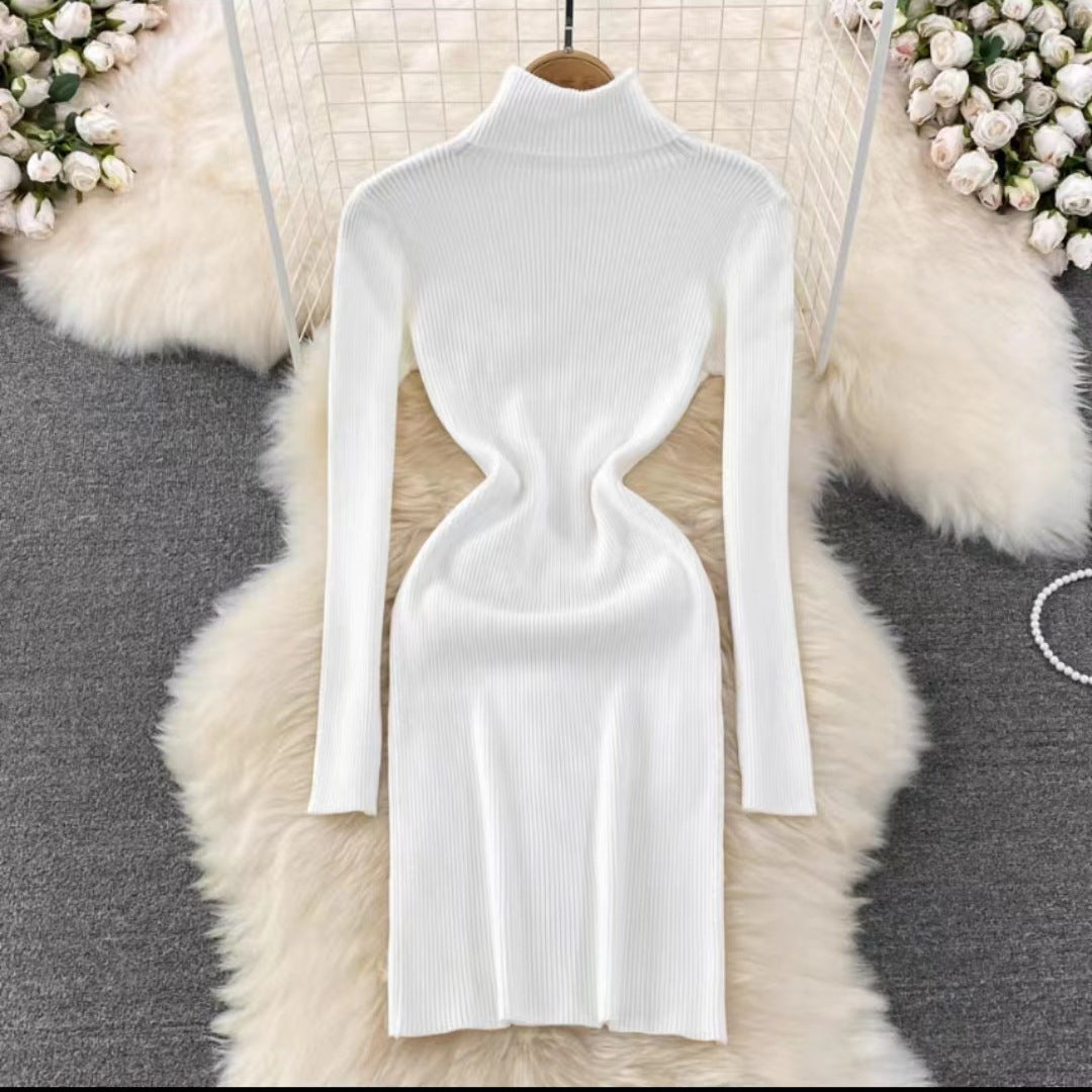Korean Style Long Sleeve Turtleneck Dress Sweater