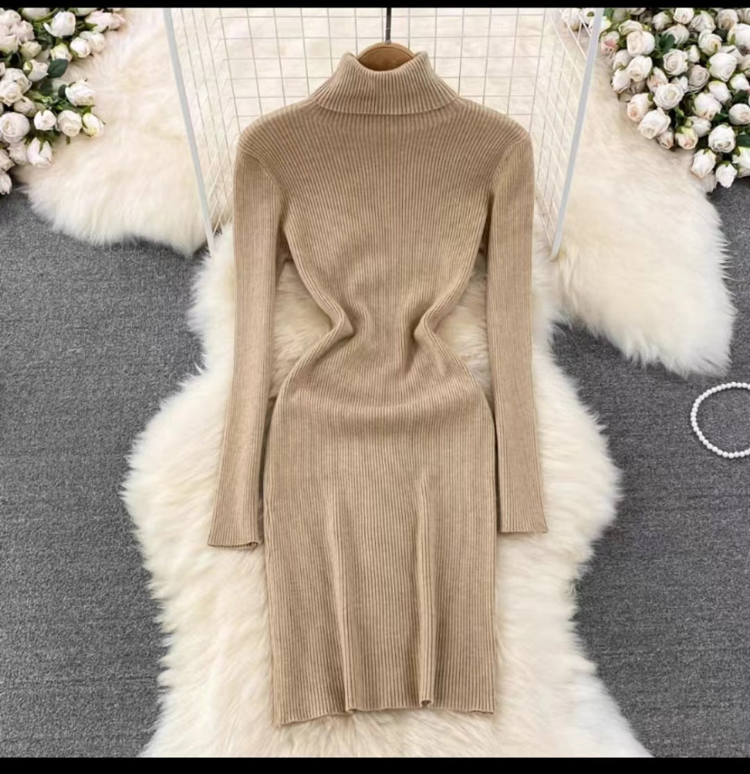 Korean Style Long Sleeve Turtleneck Dress Sweater