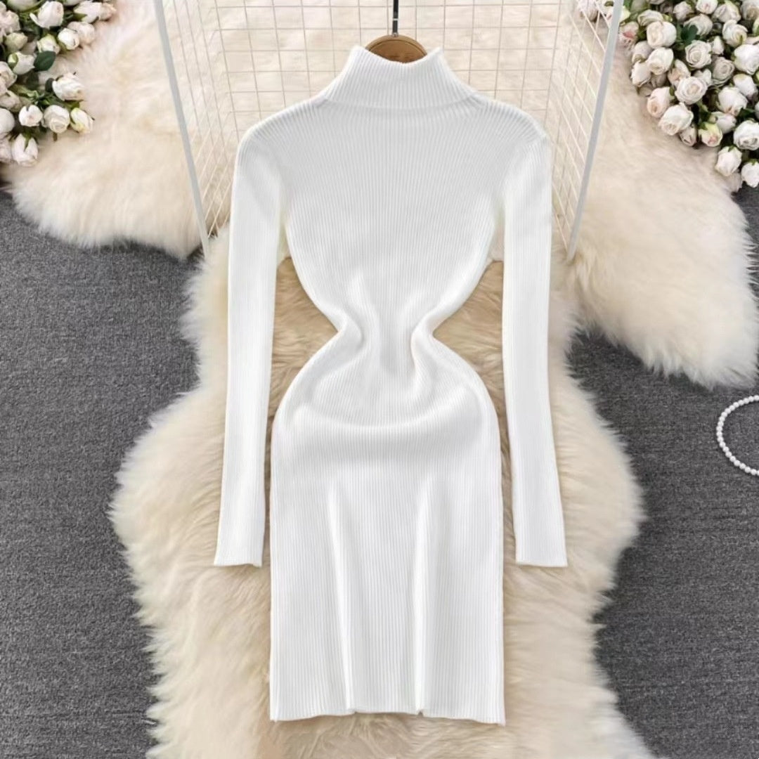 Korean Style Long Sleeve Turtleneck Dress Sweater
